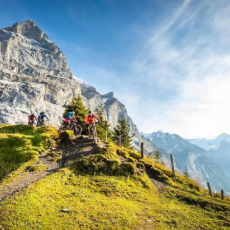 Mountain Lodge Urweider Innertkirchen Buitenkant foto