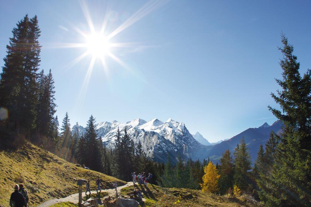 Mountain Lodge Urweider Innertkirchen Buitenkant foto