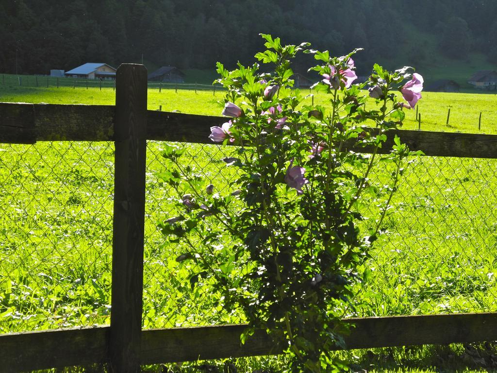 Mountain Lodge Urweider Innertkirchen Buitenkant foto