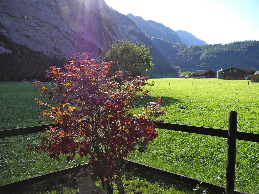 Mountain Lodge Urweider Innertkirchen Buitenkant foto