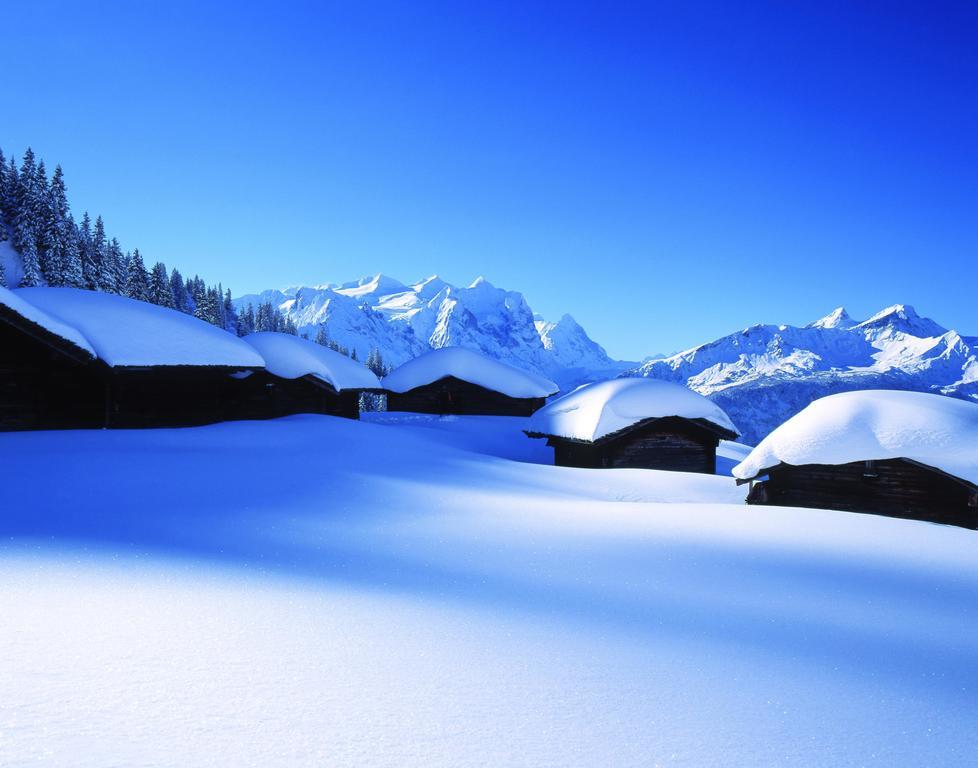 Mountain Lodge Urweider Innertkirchen Buitenkant foto