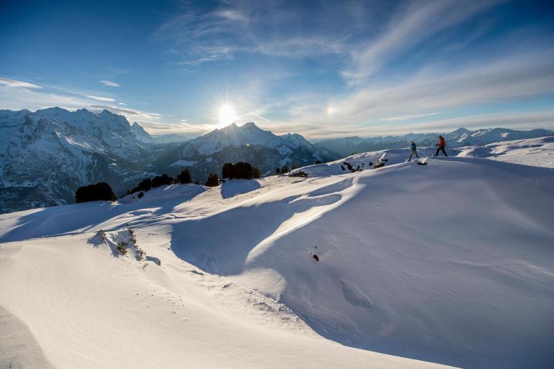 Mountain Lodge Urweider Innertkirchen Buitenkant foto