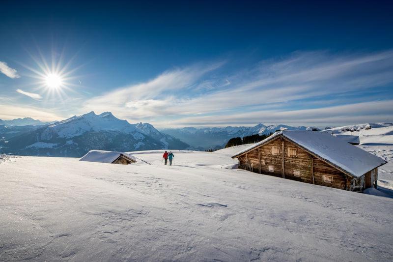 Mountain Lodge Urweider Innertkirchen Buitenkant foto