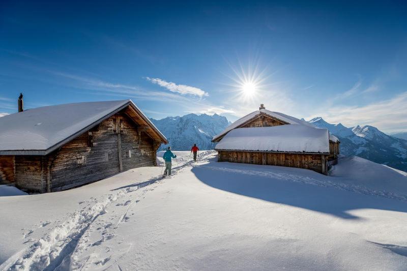 Mountain Lodge Urweider Innertkirchen Buitenkant foto